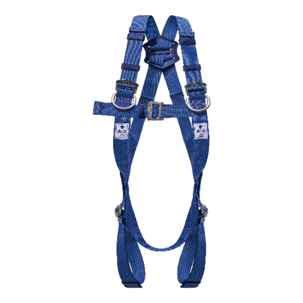Harness 1