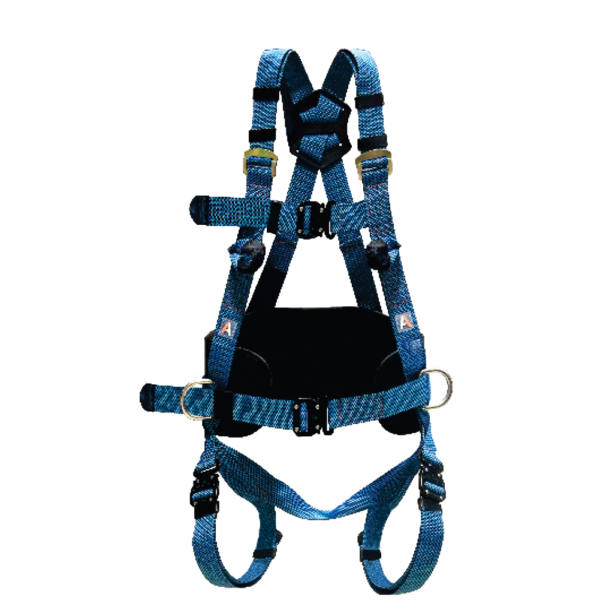 Harness 3